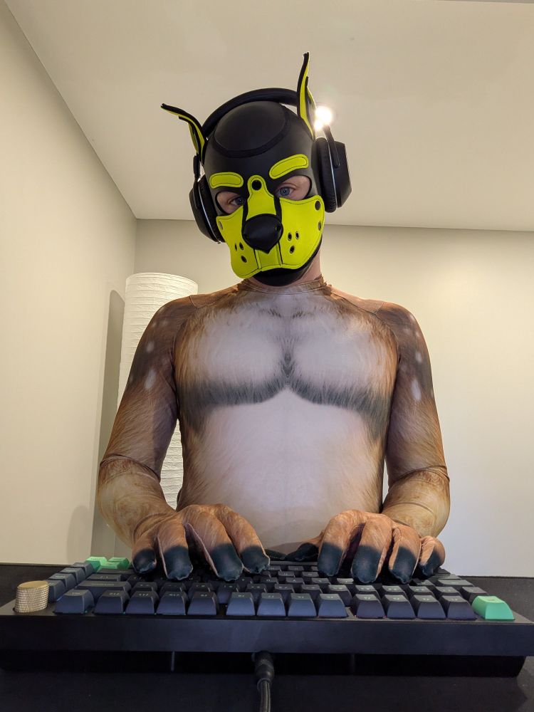 A person wearing a patterned spandex petsuit, a pup hood, and headphones, staring at the camera from behind a desk, typing on a keyboard.