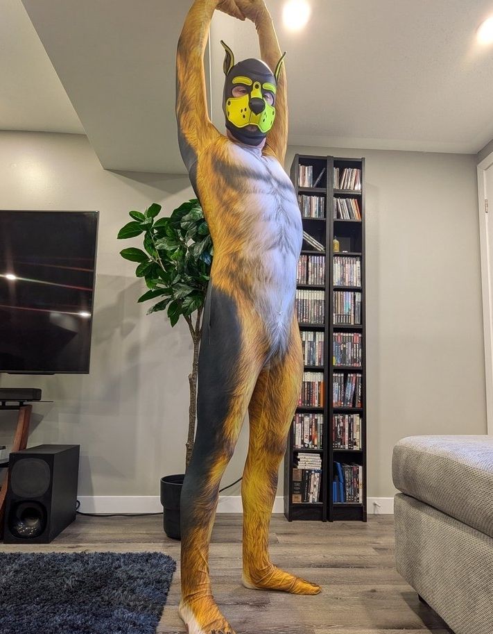 A person in an orange zentai petsuit, wearing a yellow pup mask, standing in a room with his arms held in a high stretching position.