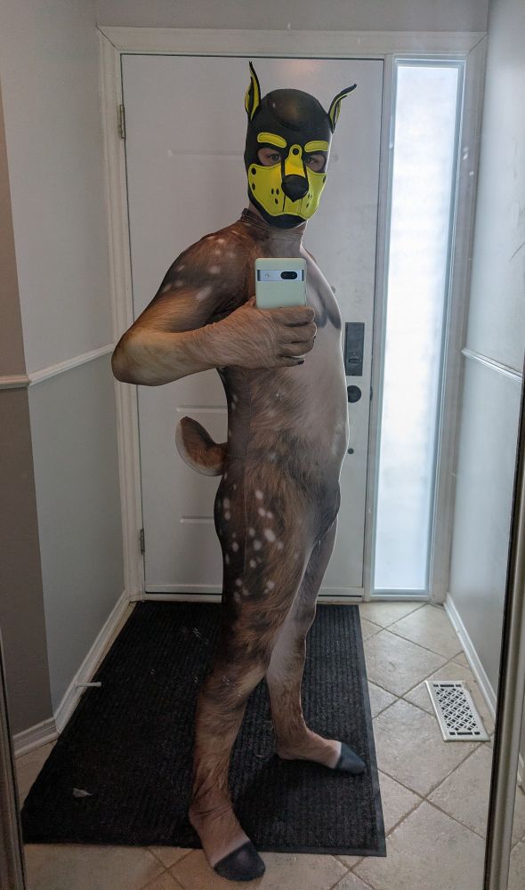 A person standing, wearing a patterned spandex petsuit and a pup hood, posing for a phone camera at a 3/4 angle in an entryway mirror, looking at the viewer.