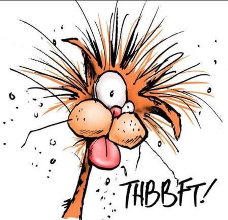 Cartoon drawing of an orange cat with wild, spiky fur, bulging eyes, and its tongue sticking out while making a raspberry sound. The text next to it reads “THBBFT!”
