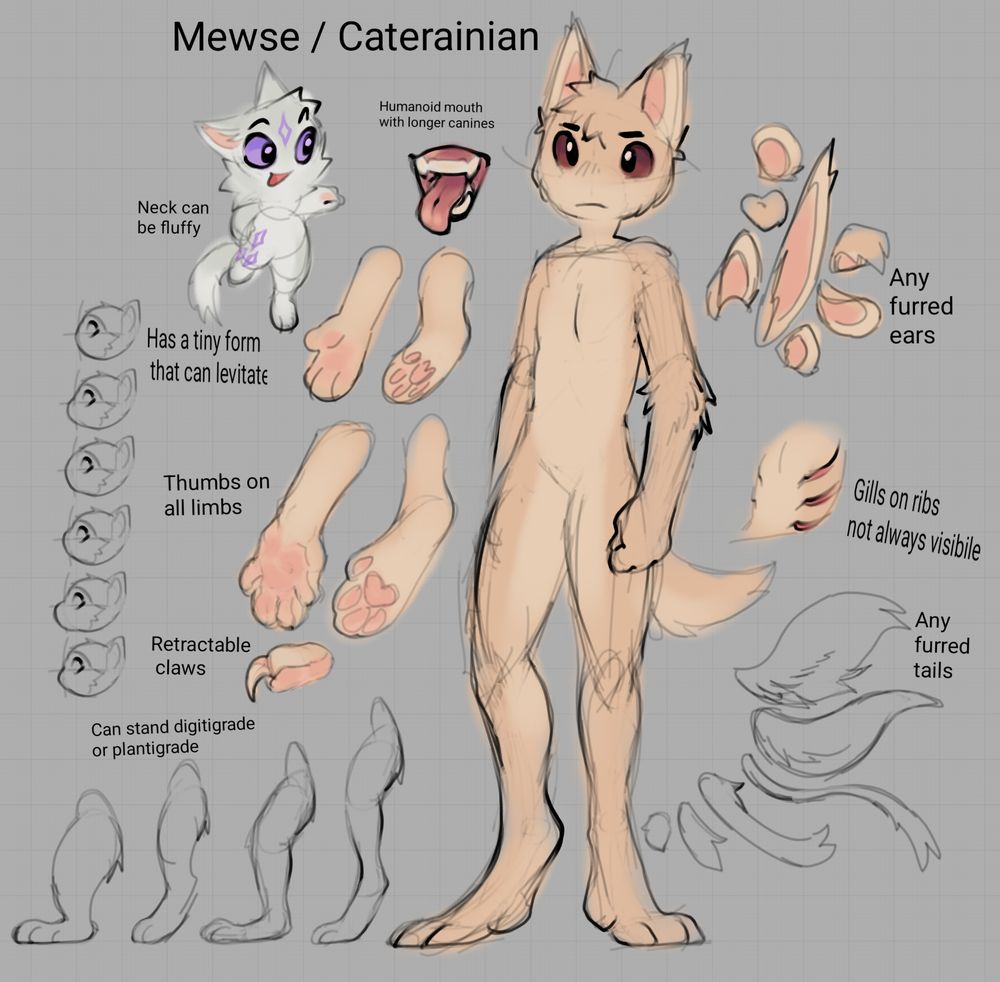 Mewse / caterainian 
Humanoid mouth with longer canines
Neck can be fluffy
Has a tiny form that can levitate
Thumbs on all limbs
Retractable claws
Can stand plantigrade or digitigrade 
Any furred ears
Gills on ribs not alwaus visible 
Any furred tails 