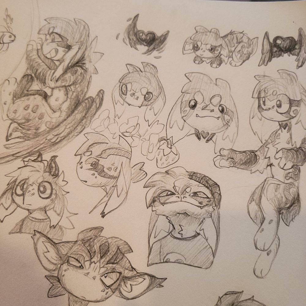 Doodles of my fursona lots of headshots a couple od fullbodies