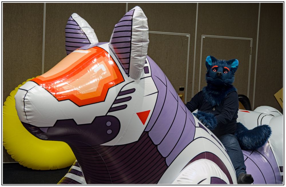 A dark blue wolf sitting on the back of a massive inflatable wolf (that is painted to look like a mechanical beast), the ride looks enjoyable!