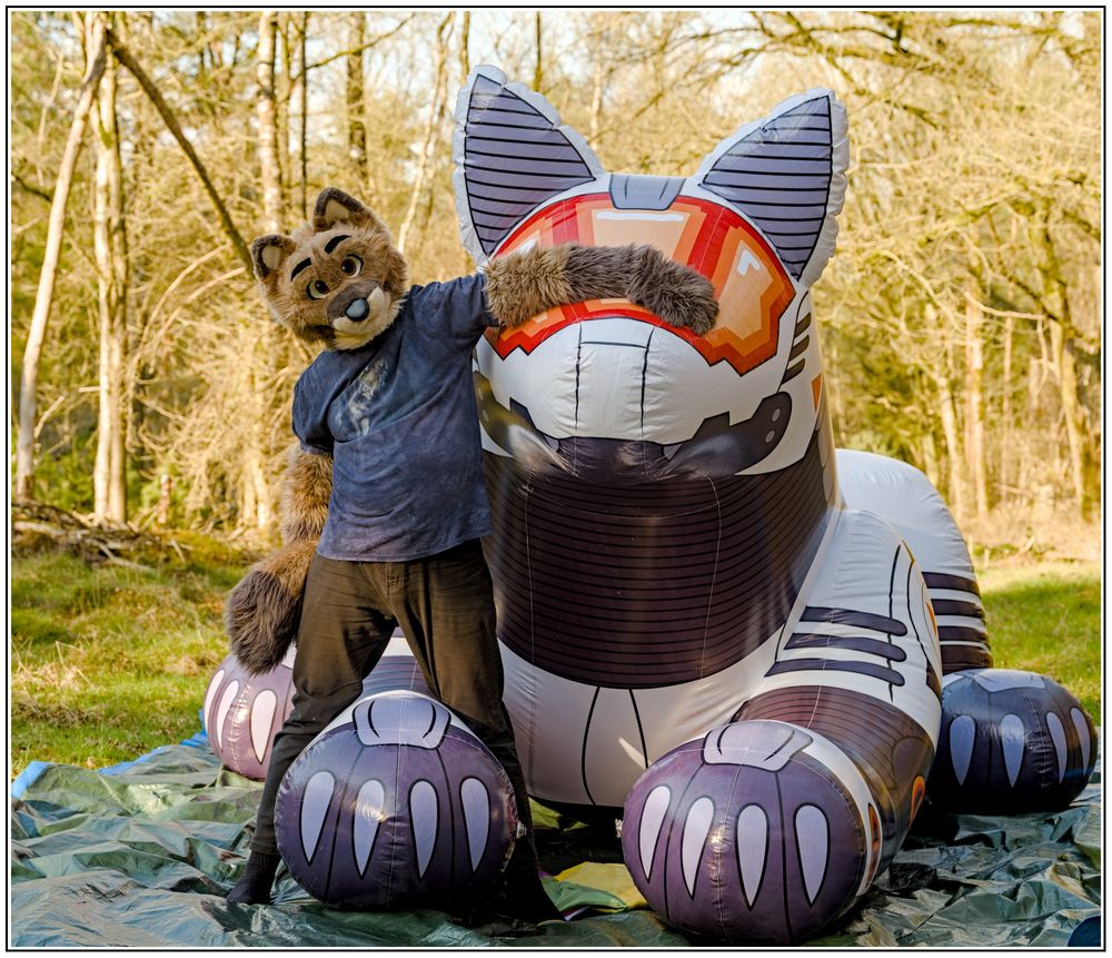 A wolf fursuiter standing next to a massive inflatable mecha wolf. The fursuiter has one arm over the snout of the inflatable, and another holding their own tail.