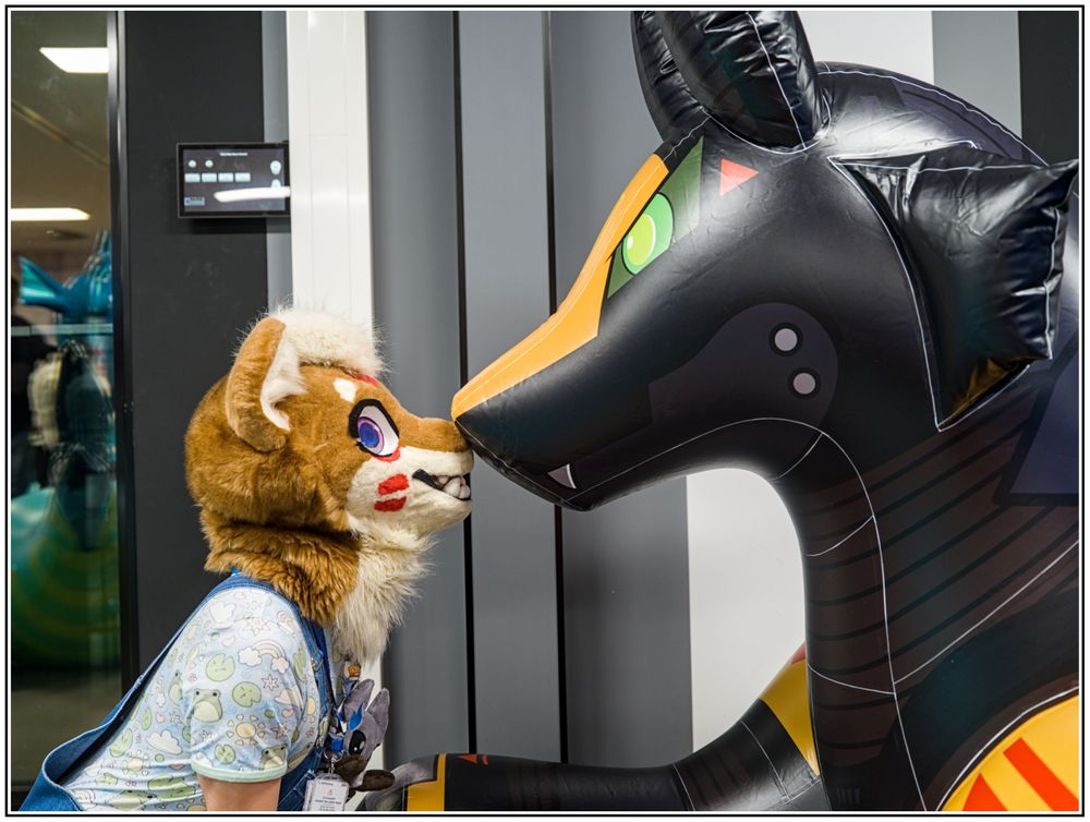 A cat fursuiter booping the snoot of a big inflatable mecha fox