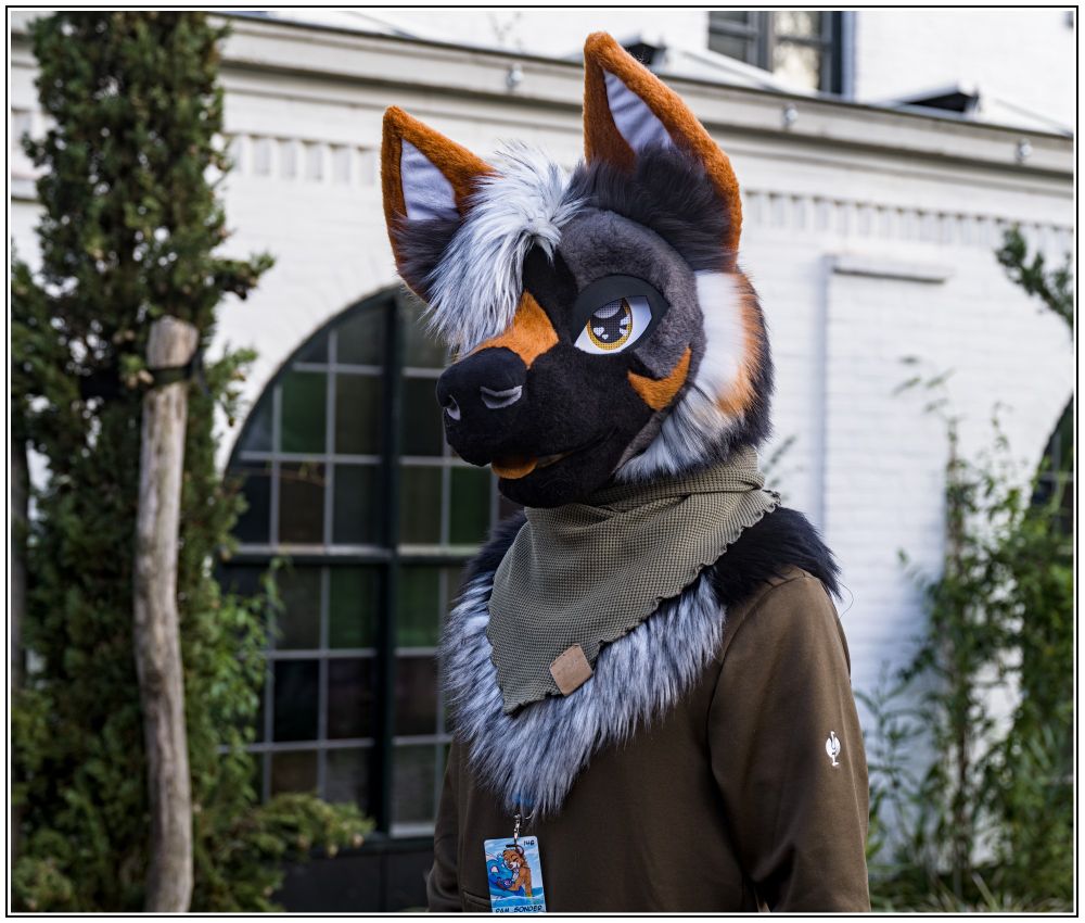 A cross fox fursuiter posing for a portrait