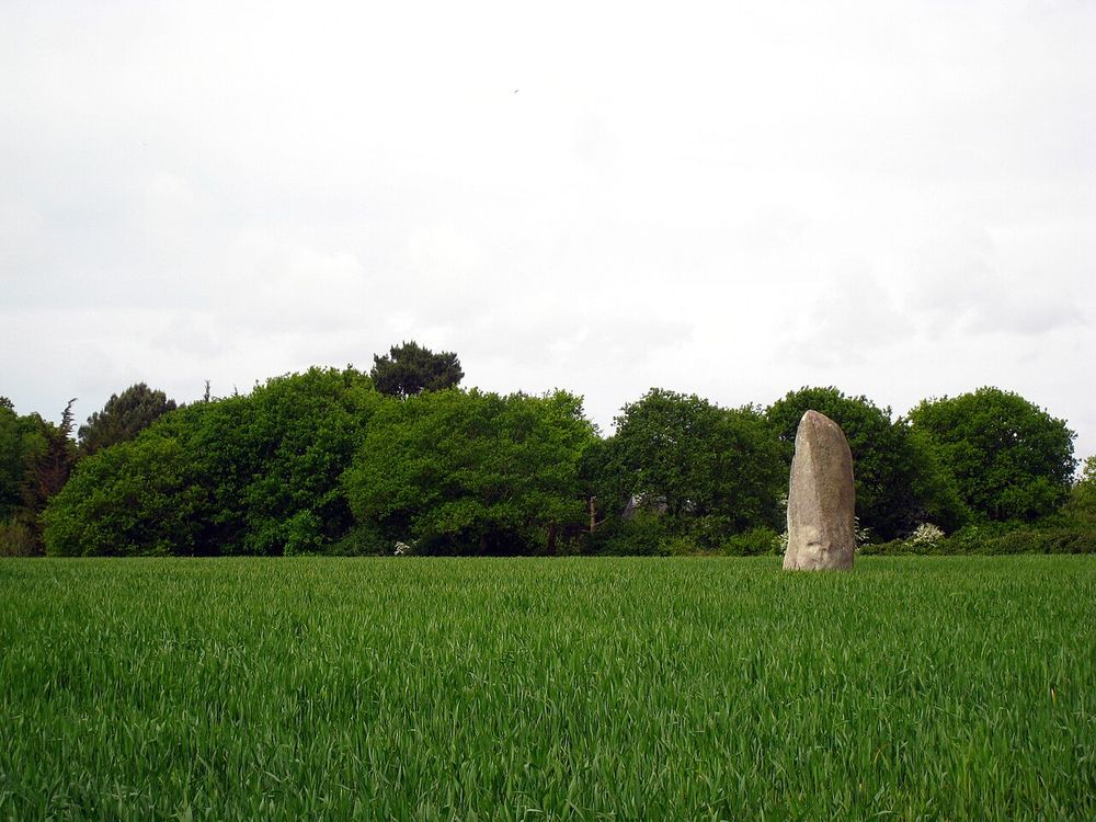 Un plan large du menhir de Bissin, montrant son environnement immédiat : un champ cultivé avec, en arrière plan, des arbres. Le menhir s'élève de façon solitaire au milieu du champ (mais est cadré vers la droite de la photo). Il s'agit d'une pierre grise, de forme parfaitement menhiroïdale.