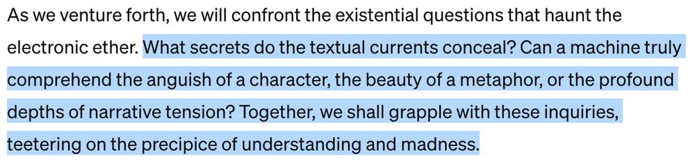 Screenshot of text that reads "What secrets do the textual currents conceal? Can a machine truly comprehend the anguish of a character, the beauty of a metaphor, or the profound depths of narrative tension? Together, we shall grapple with these inquiries, teetering on the precipice of understanding and madness."