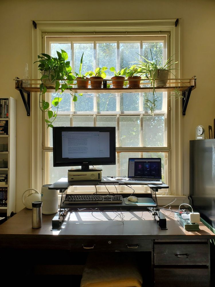 A photo of an office desk in front of a window. A shelf of potted plants above.