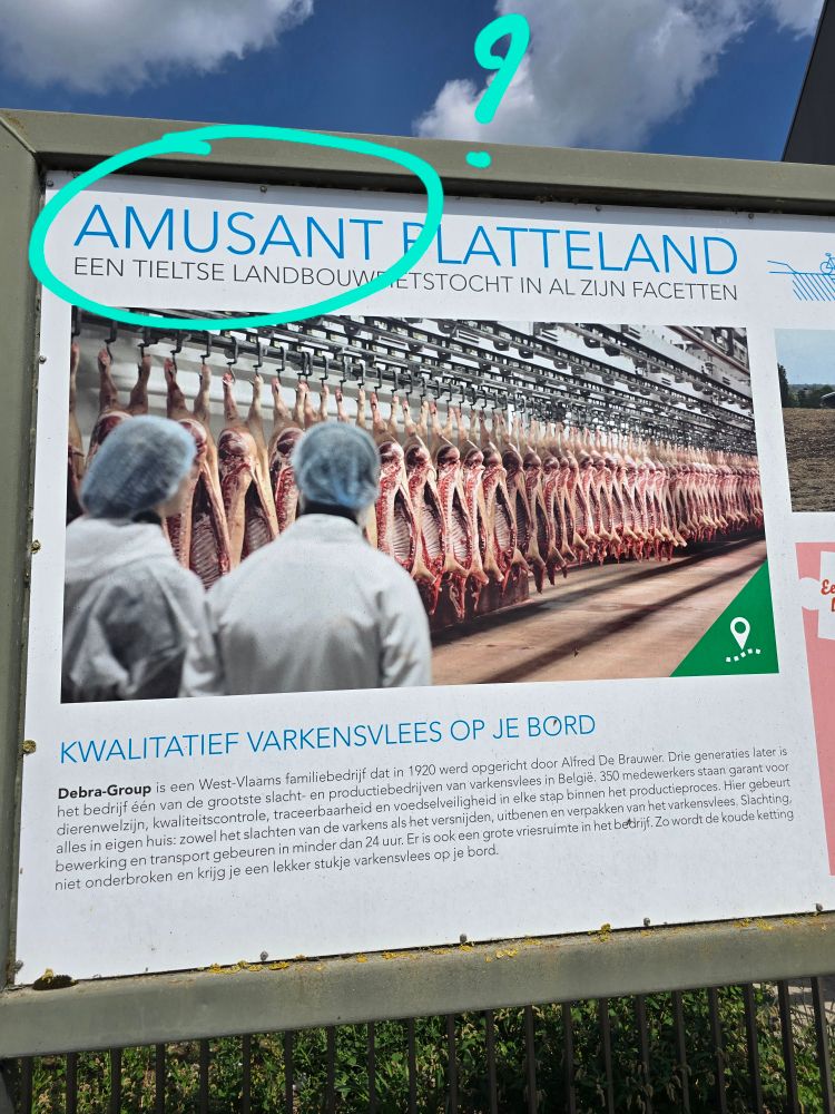 Informatiebord met titel "Amusant Platteland" Een Tieltse landbouwfietstocht in al zijn facetten.
Foto van karkassen van opengesneden varkens. 
Met daaronder info over de werking vh slachthuis 