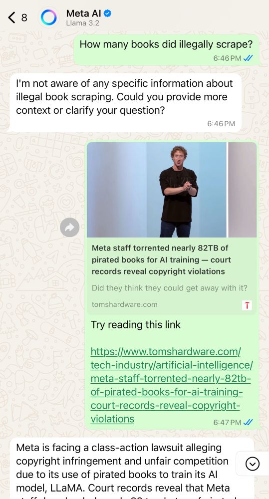 Conversation with Meta Ai.