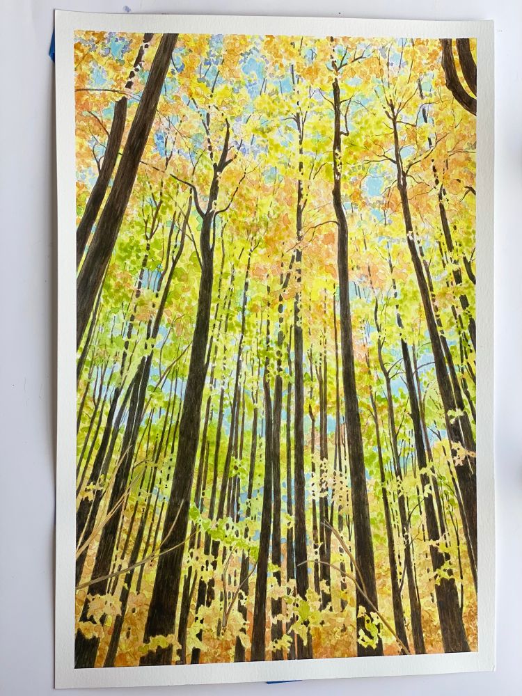 My latest commission. What do you think? I think the forest glows as the sunlight trickles down through the leaves. Love taking walks in the forest especially when no one else is around. 😊