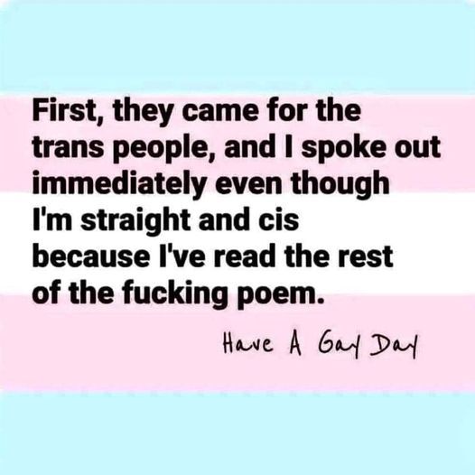 First, they came for the trans people, and I spoke out immediately even though I'm straight and cis because I've read the rest of the fucking poem. Have a gay day. Text is written on a trans flag background, first stripe, light blue, second stripe pink, third stripe white, fourth stripe pink, fifth stripe light blue.