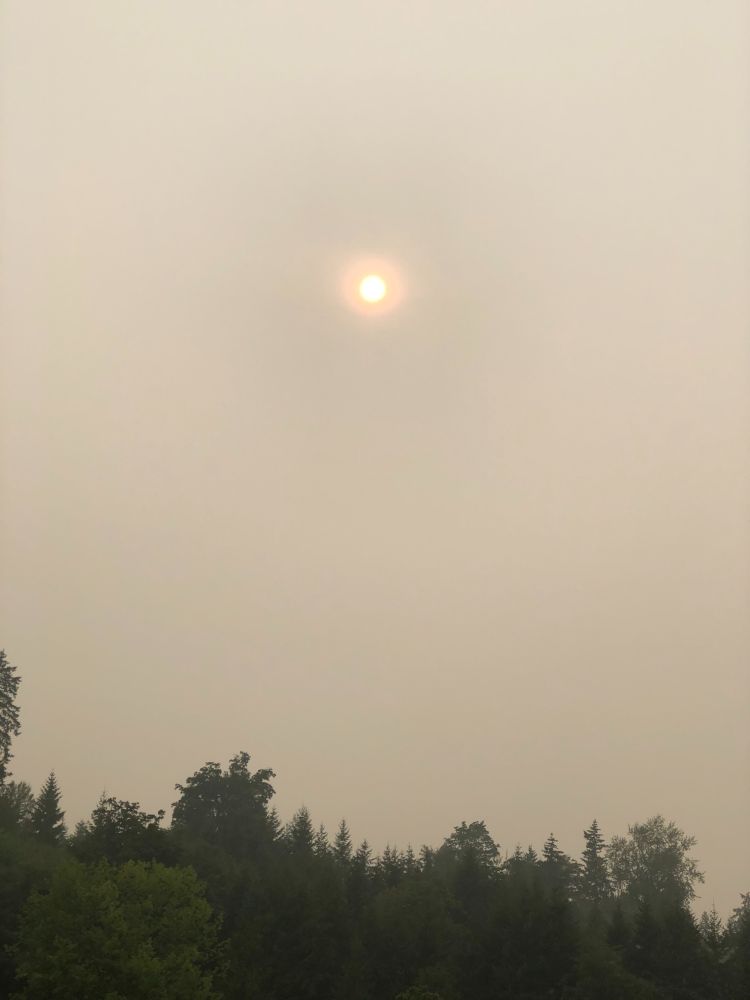 An orangish, hazy sun seen through wildfire smoke, taken near Seattle in September 2020. (Long story short: 2020 was awful in several ways at once.)