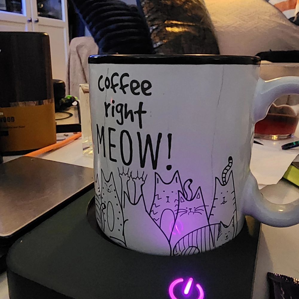Funny coffee mug with cats that reads coffee right meow 