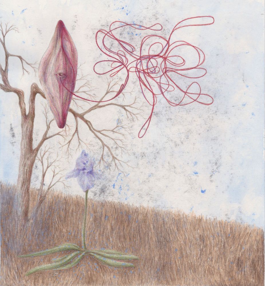 healing wound & purple iris in a dry field 