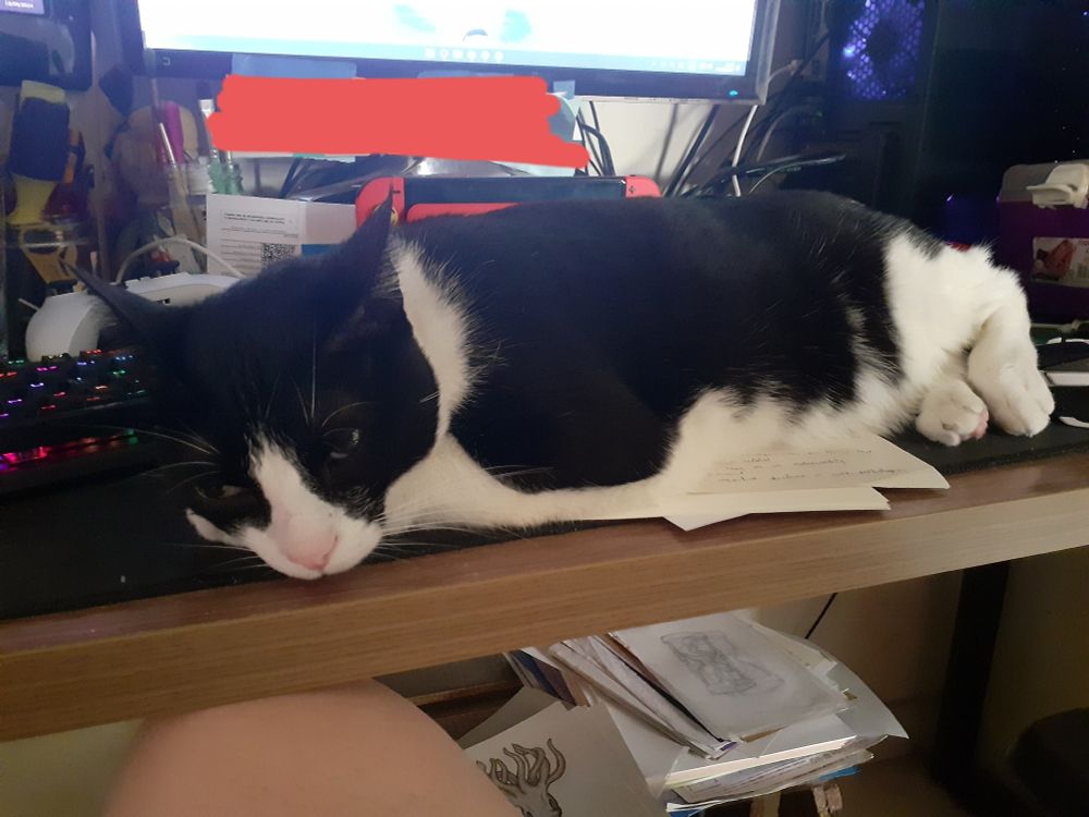 Gato preto e branco folgado deitado ocupando a mesa do computador inteira