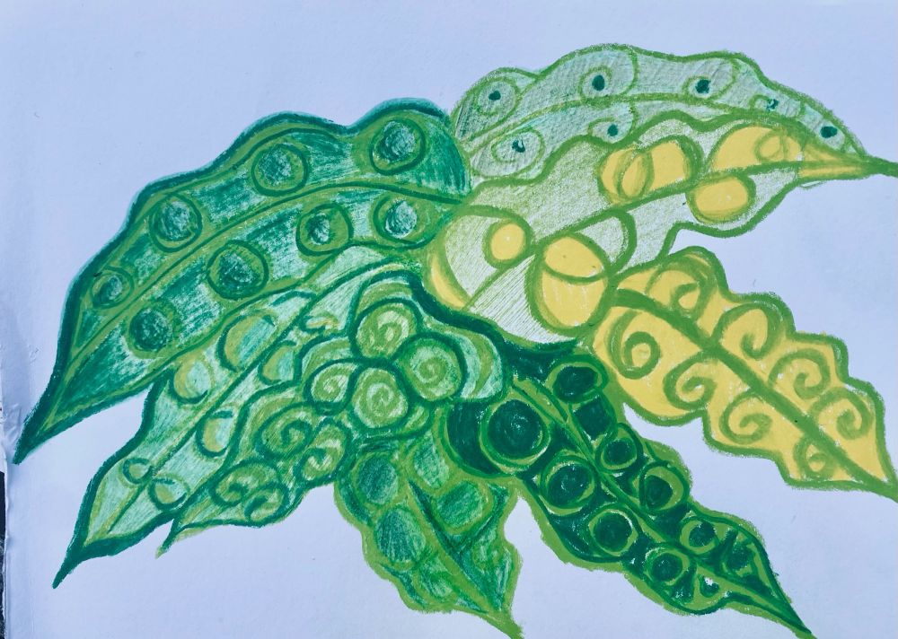 Drawing with vivid colours green and yellow, of a plant with various leaves with an ondulate edge.

Tekening  met felle kleuren groen en geel, van een plant met verschillende bladeren met gegolfde rand.
