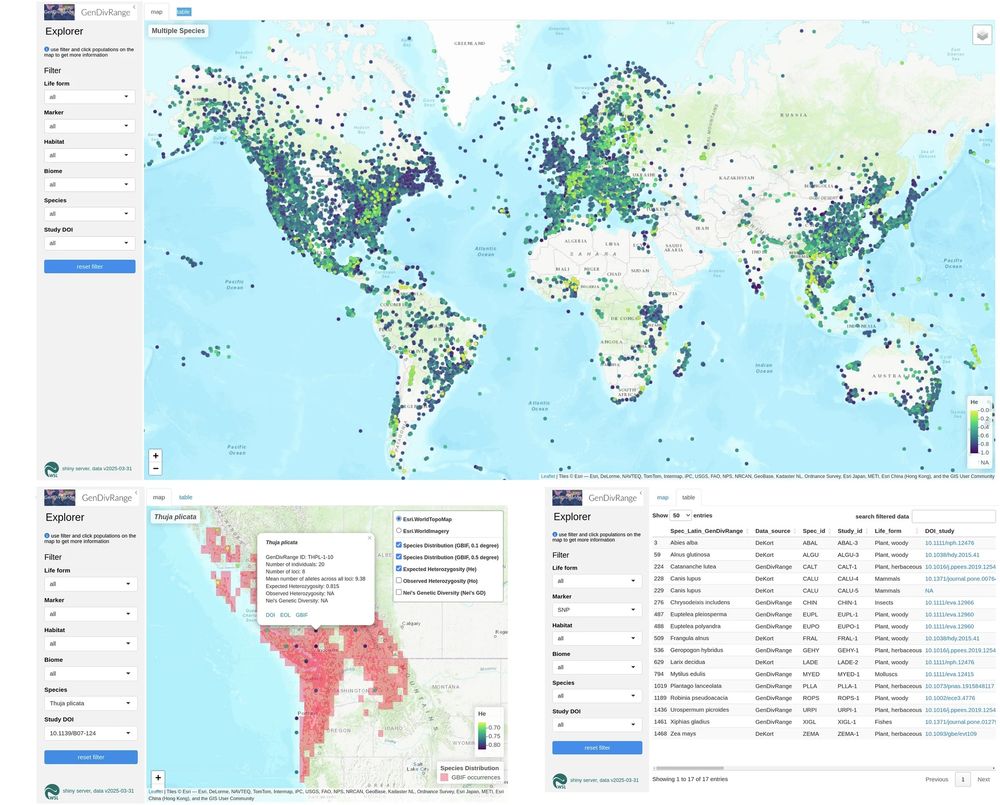 interactive web application of GenDivRange