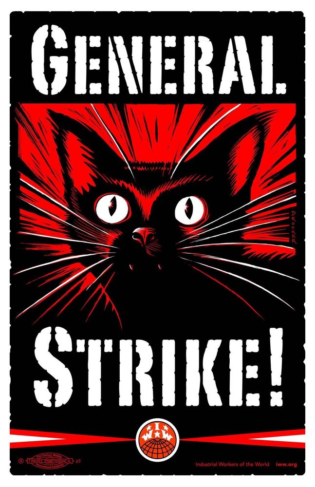 A poster with a back background that says general strike in white block letters, and the face of a black cat with red accents and white eyes in the center. 