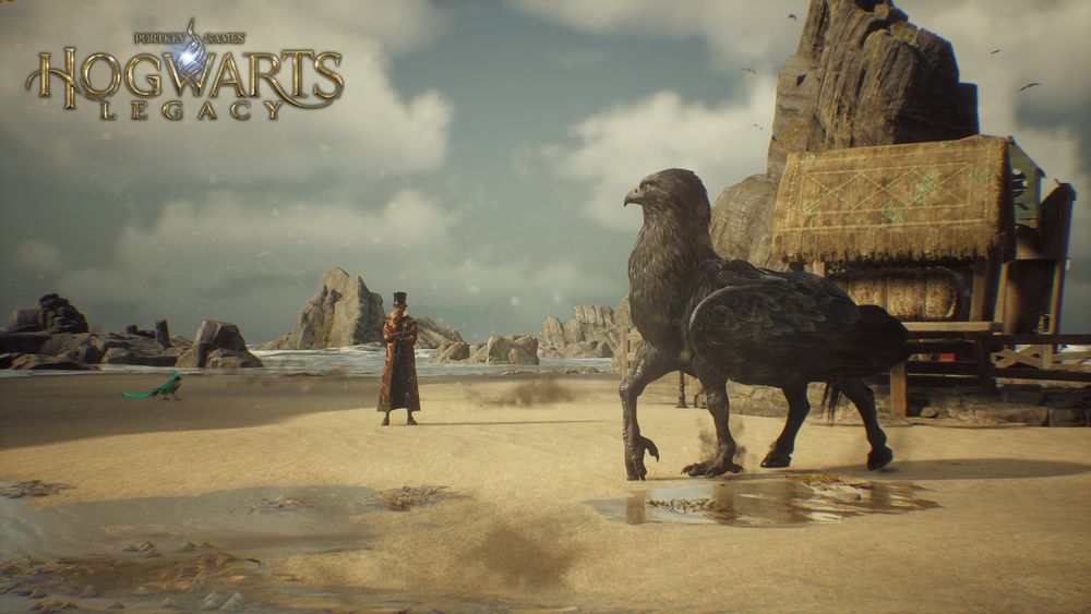 Hippogriff and Student, outside in a sandy beach style environment.