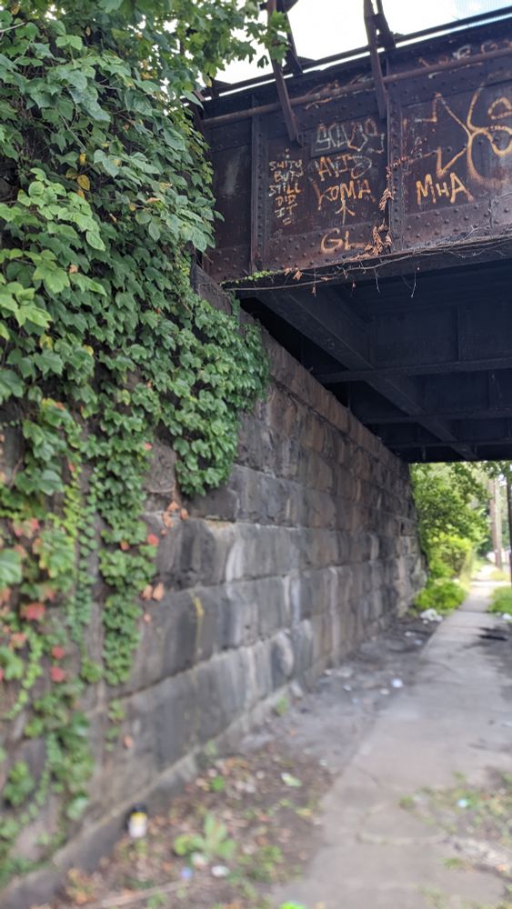 rusted iron girder overpass over stone masonry overgrown with, i think, some sort of grape