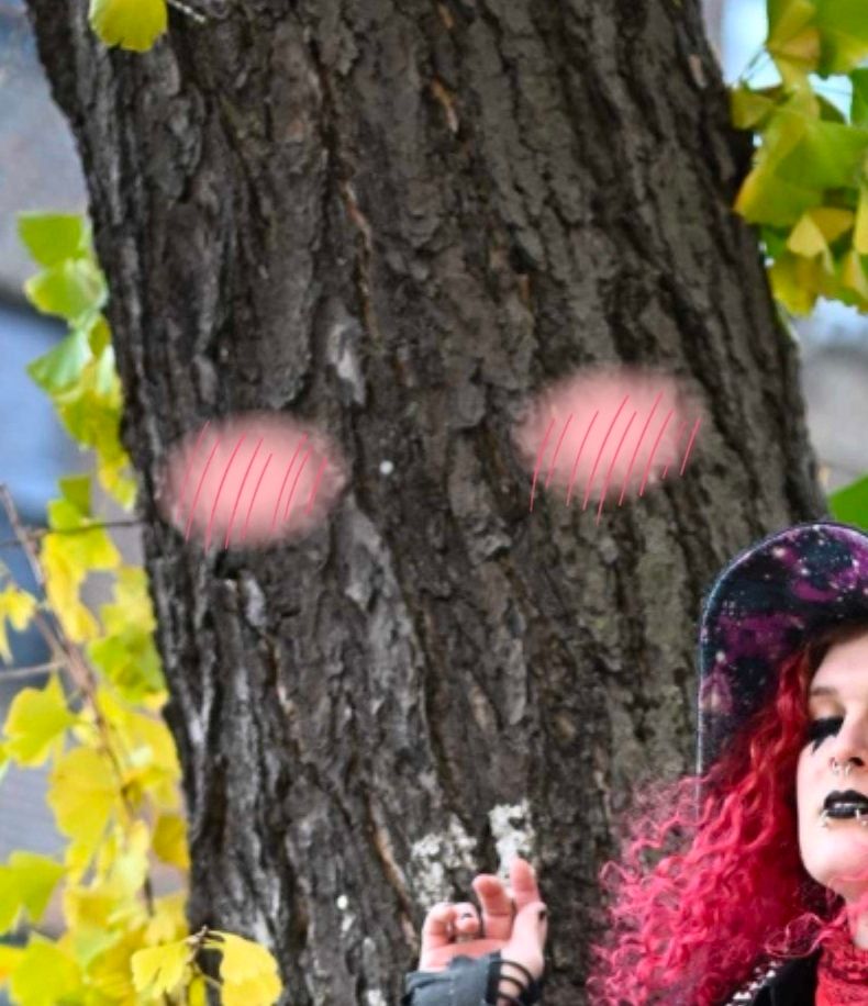 Said tree blushing in response 