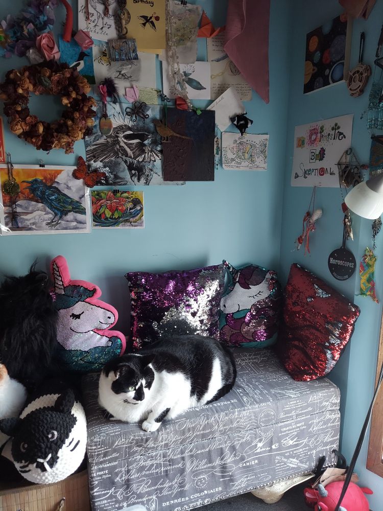 A pale blue wall with a cluttered array of colourful art pinned to it, featuring magpies and Trinkets, against which sits a grey padded bench with French text on it. The bench is covered in purple, red, pink, and blue sequined pillows and surrounded by plush cats. A chubby white and black cat, Chester, is lying on the bench. 