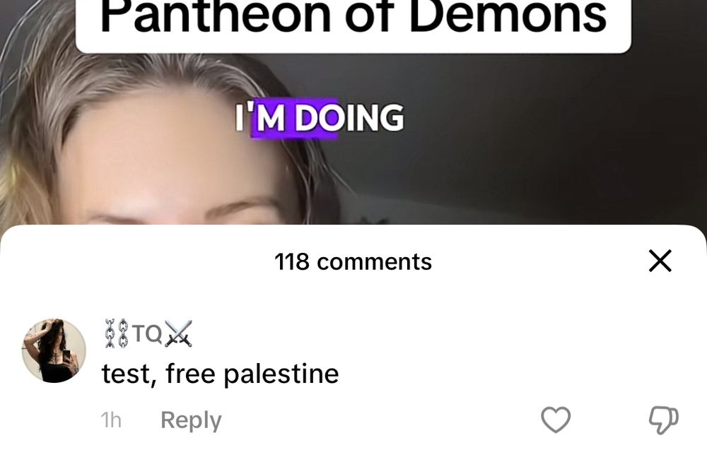 TQ’s first comment with the phrase “test, free palestine” on a canadian creator.