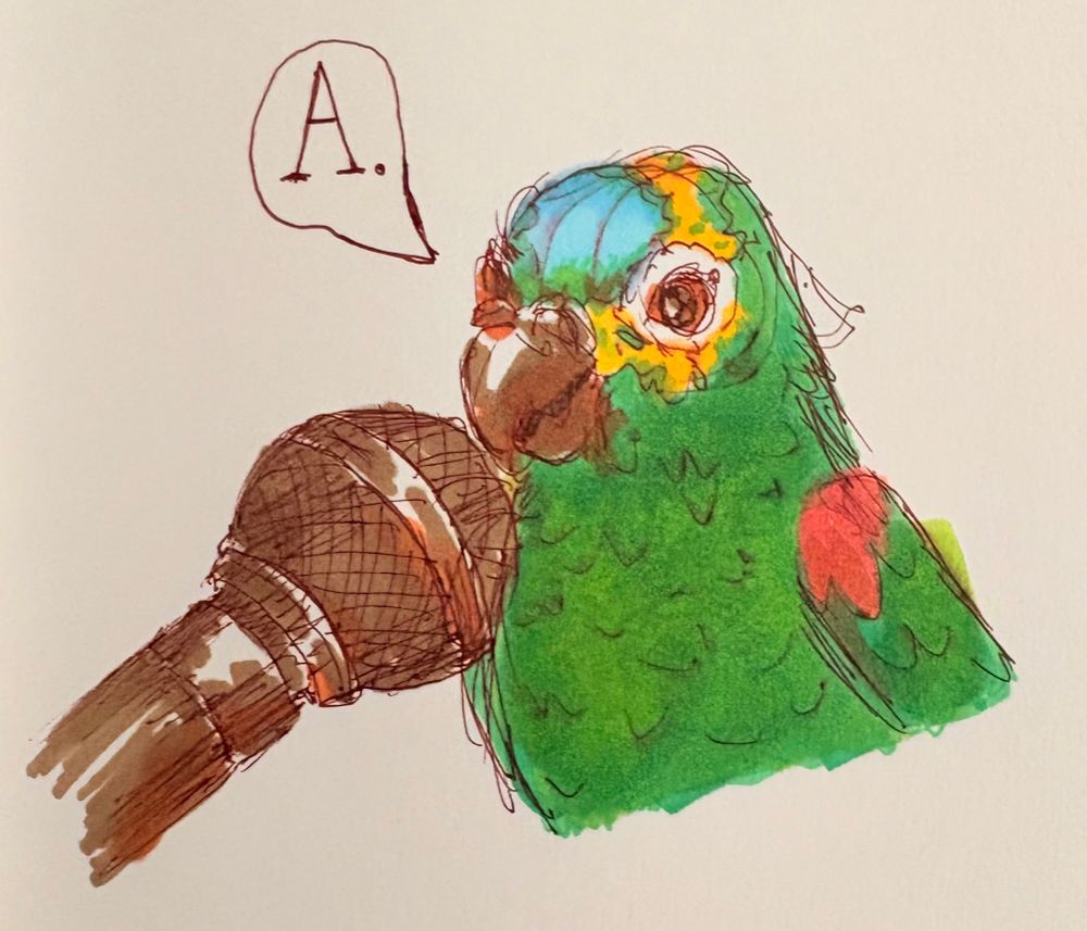 A sketchbook drawing of a colourful parrot saying a little noise into a microphone held up to its beak.