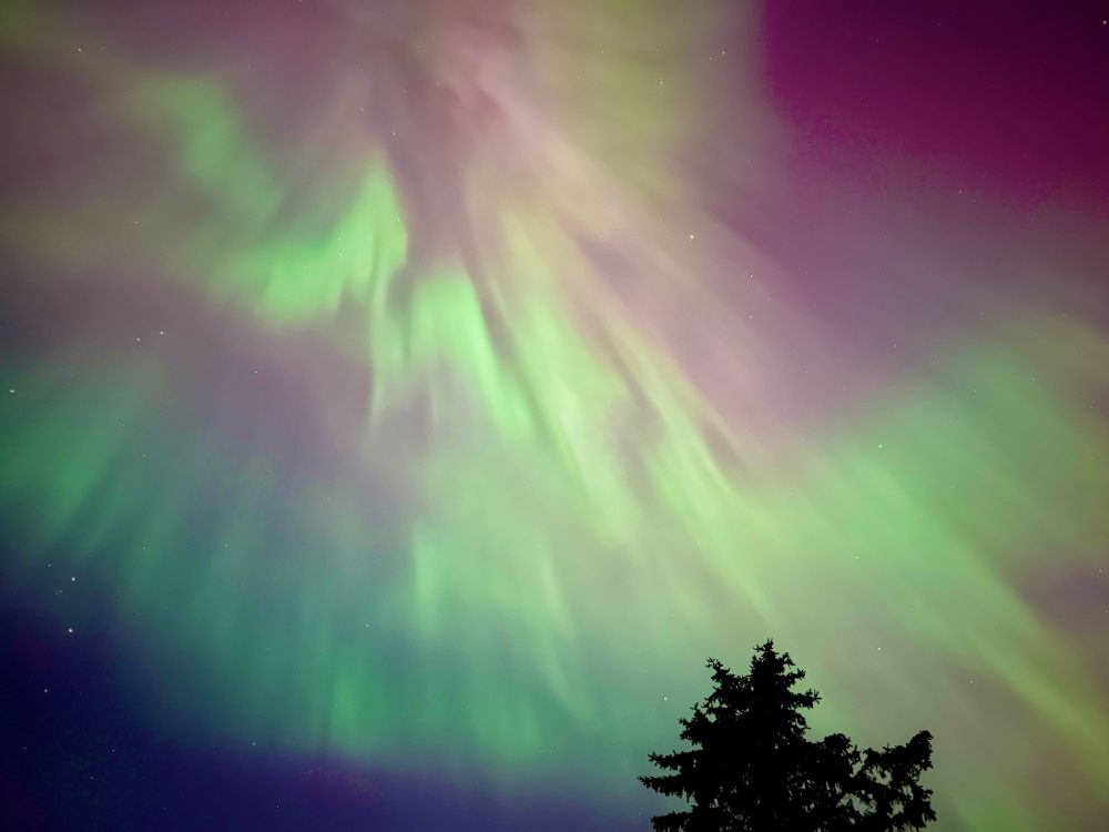 Aurora overhead 