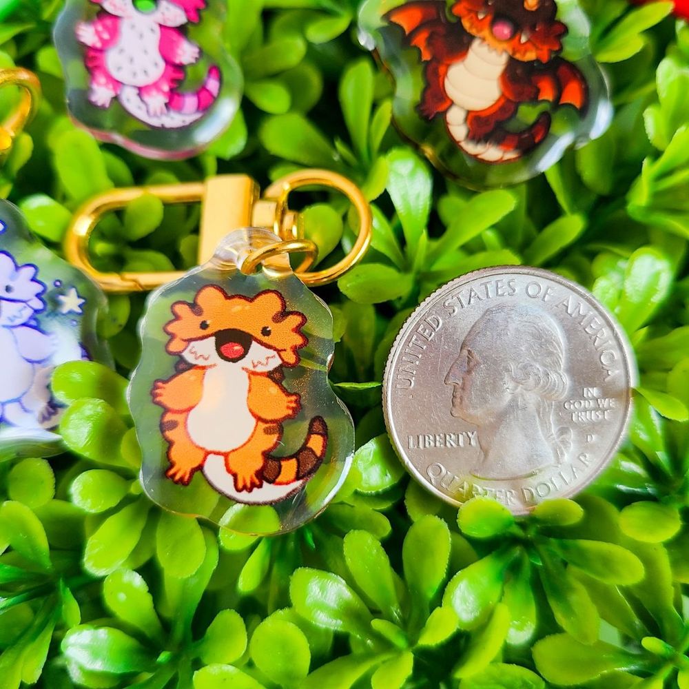 Close up of the normal beardie next to an American quarter for size reference. The charm is roughly the size of the quarter.