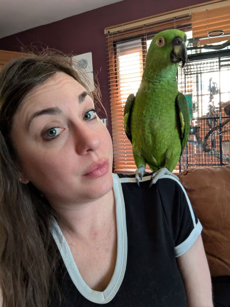 A large green parrot is perched on a woman's shoulder and they both stare into the camera. It's not obvious by looking but the parrot can sometimes be a real shit. Orange cat hair is visible on her black shirt. 