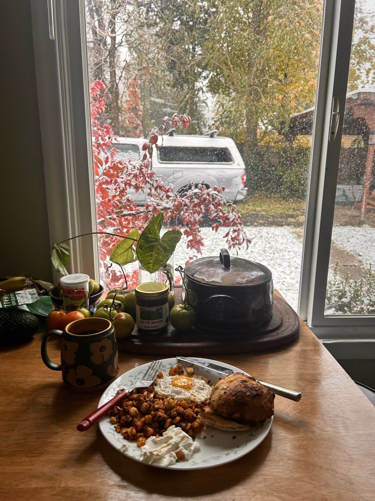 a plate sitting on a wooden table with fried potatoes, toast, and an egg with a cup of coffee beside it. there’s snow falling gently in the background 