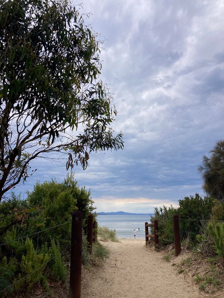 Looking down a sandy path to a calm sea where children are playing in small kayaks. Very stormy grey clouds top of image. Low bushes and gum tree on both sides of path. 