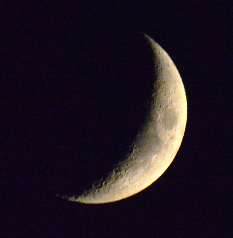 tonight's crescent moon