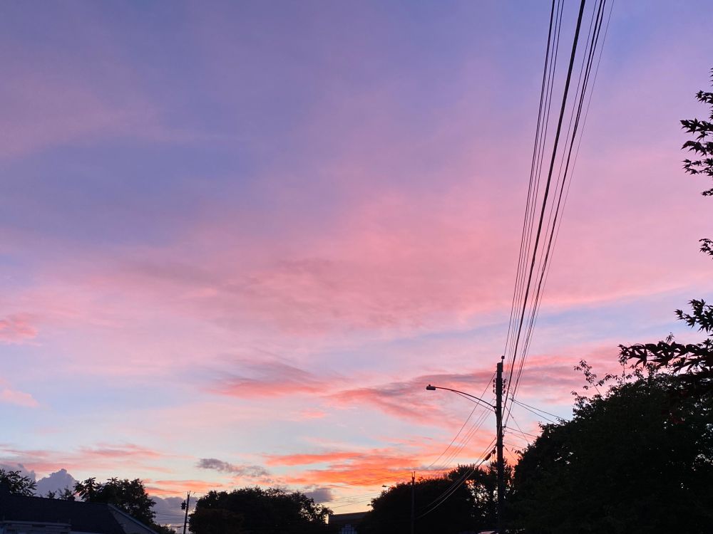 Pink sunset 
