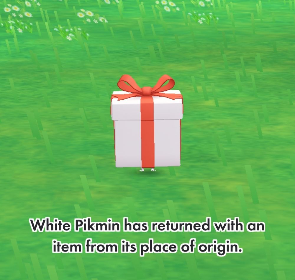 Screenshot from Pikmin Mobile. A white present with a red bow is held by a white Pikmin (a small white creature) on a field of grass, but all that's visible are its tiny feet. 