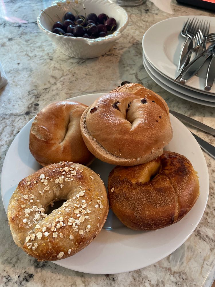A plate of assorted bagels that are amazingly delicious. Includes plain, cinnamon raisin, while gain and French toast