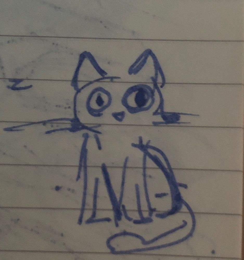 very rough pen doodle of an alert cat