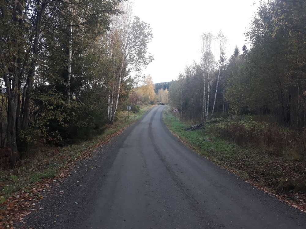 Een andere weg met aan beide zijden bomen in groen en geel herfstkleuren, lage begroeiing en op de grond veel bruine herfstbladeren.