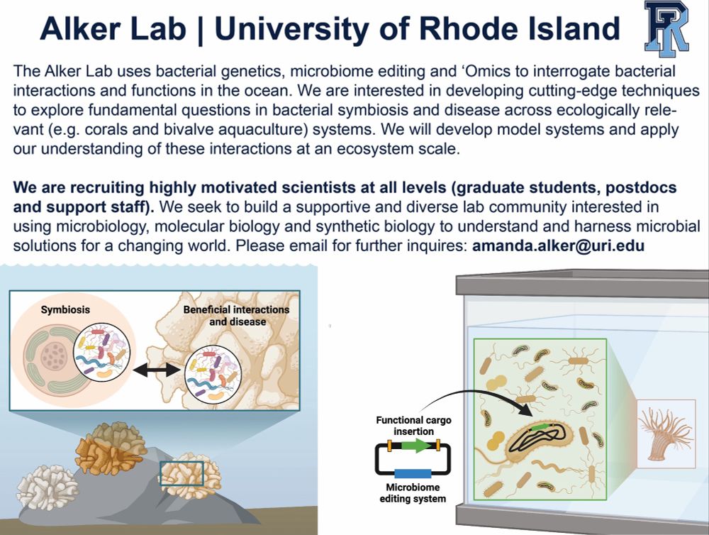 The Alker lab at the University of Rhode Island is hiring (students, postdocs and lab staff)! We use cutting edge tools in microbiology to investigate marine animal symbioses. Email or DM for further inquiries