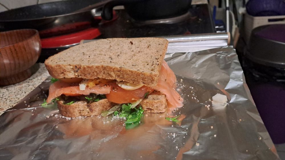 Salmon Sandwich #pebbling
