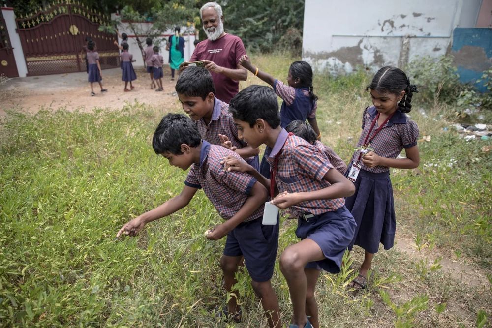 Students at Eden School select specimens to examine with their Foldscopes.
Viraj Nayer for NPR
