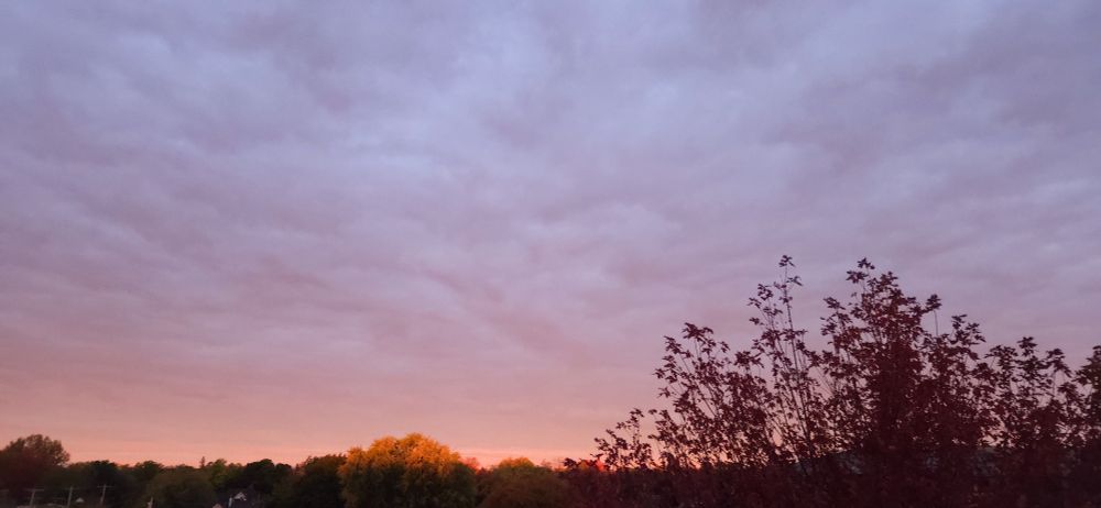 purple orange sunrise just hitting trees