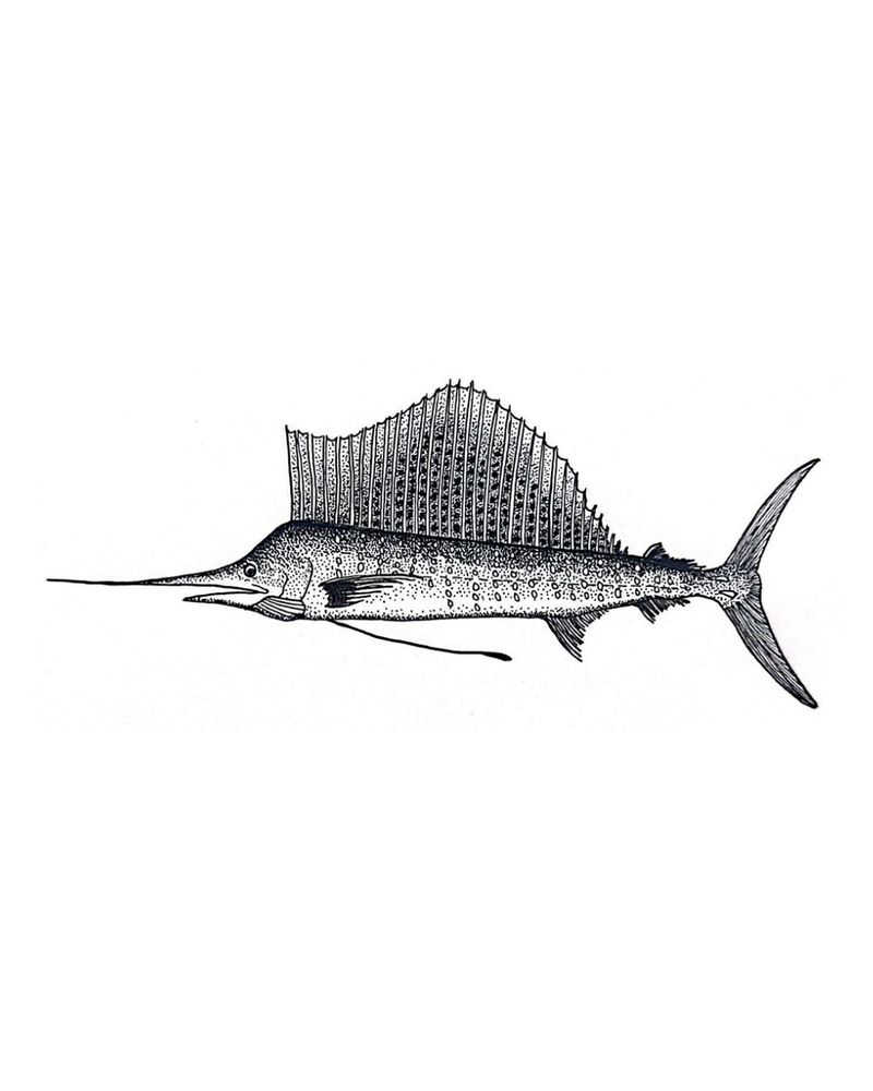 Stippling drawing of a swordfish