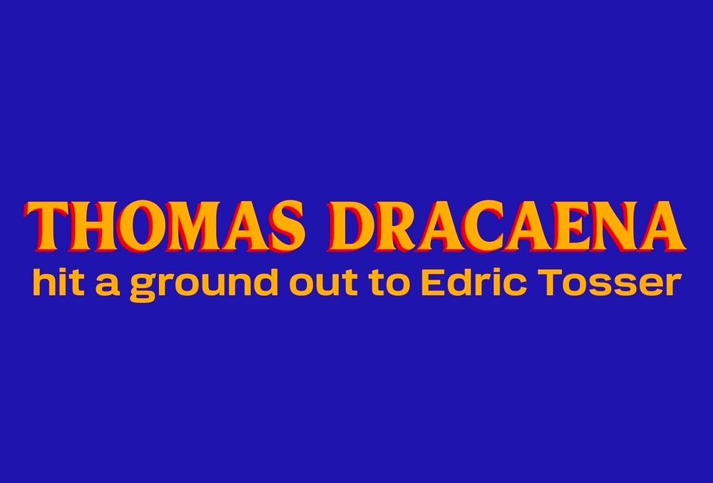 Zohran for new york signage but instead it says

Thomas Dracaena
hit a ground out to Edric Tosser