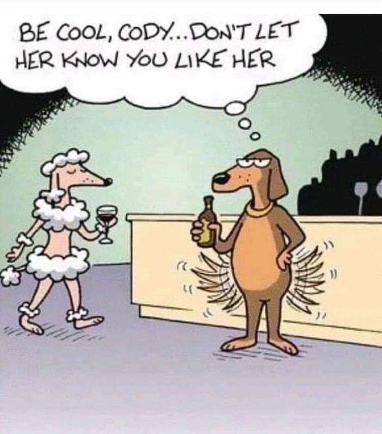 Comment image