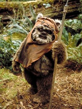 A picture of ewok Wicket A. Warwick