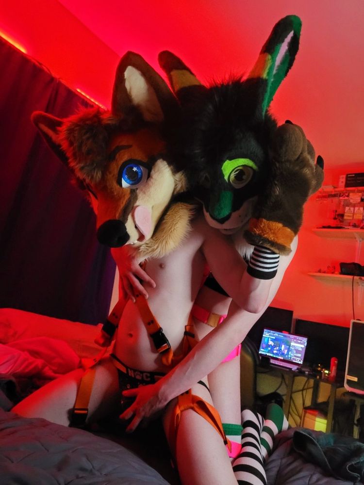 Myself in nothing but my fursuit head (red wolf), harness and jockstrap, being grabbed from behind by Zayn (green cat rabbit hybrid).